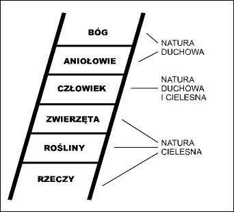 drabina bytow