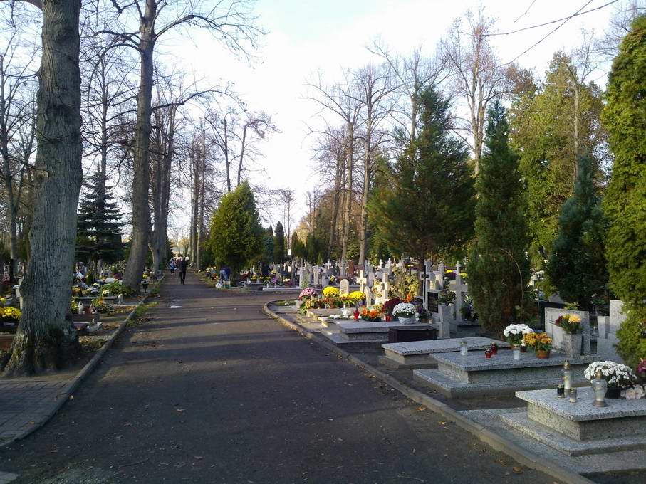 Cmentarz w Koszalinie.