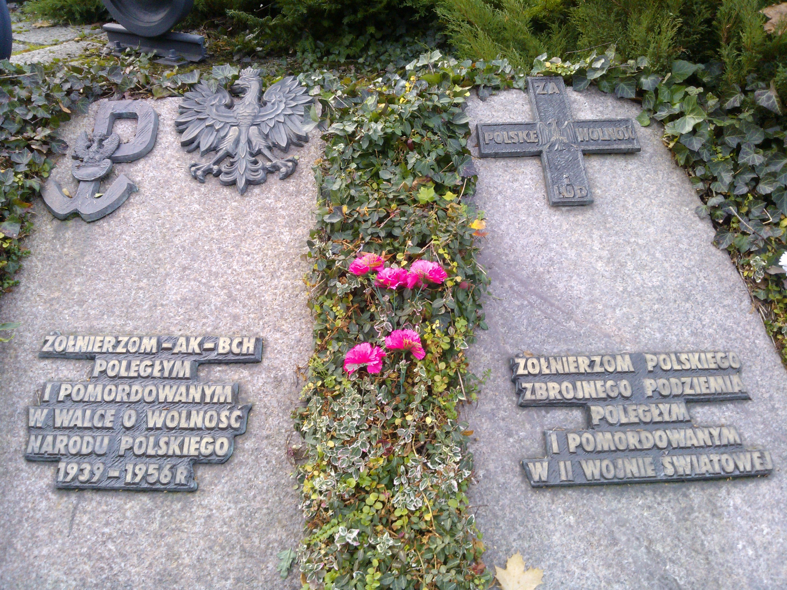 Cmentarz w Koszalinie.