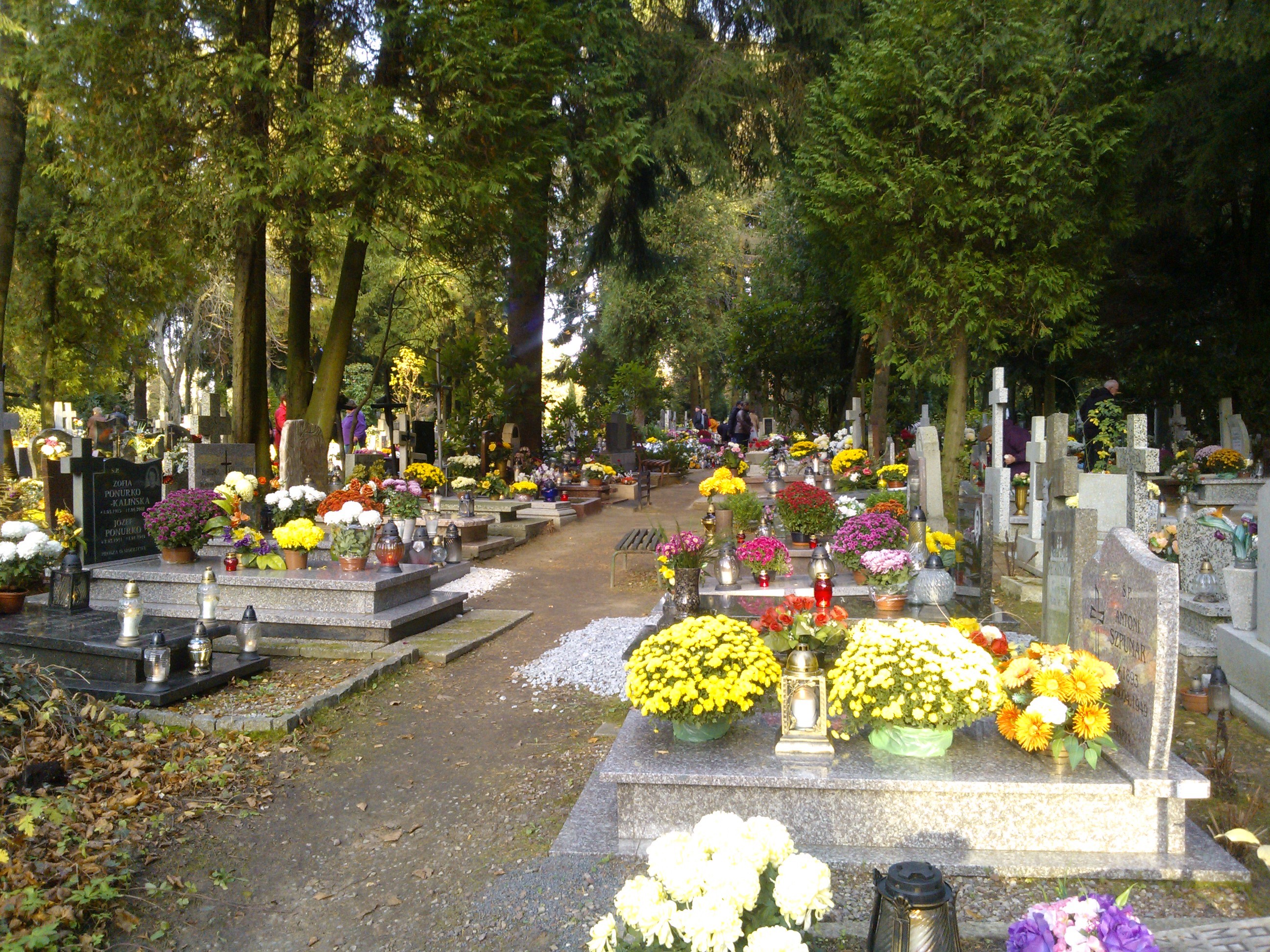 Cmentarz w Koszalinie.